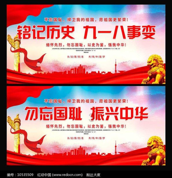 拯救受伤的猫